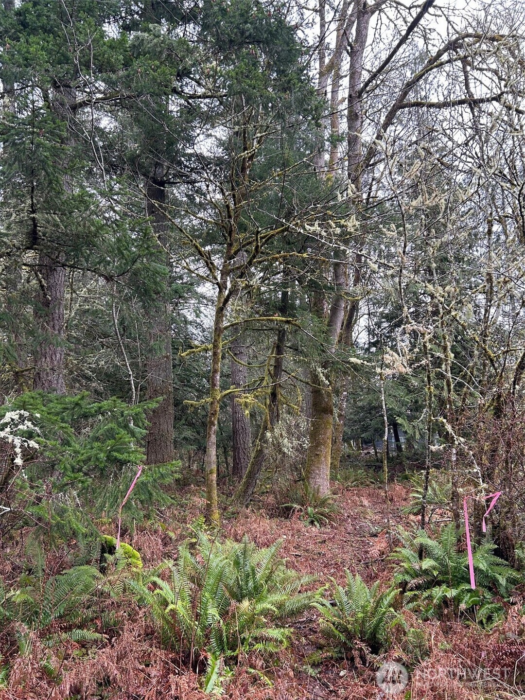 6126 Woodard Bay Road Property Photo 2