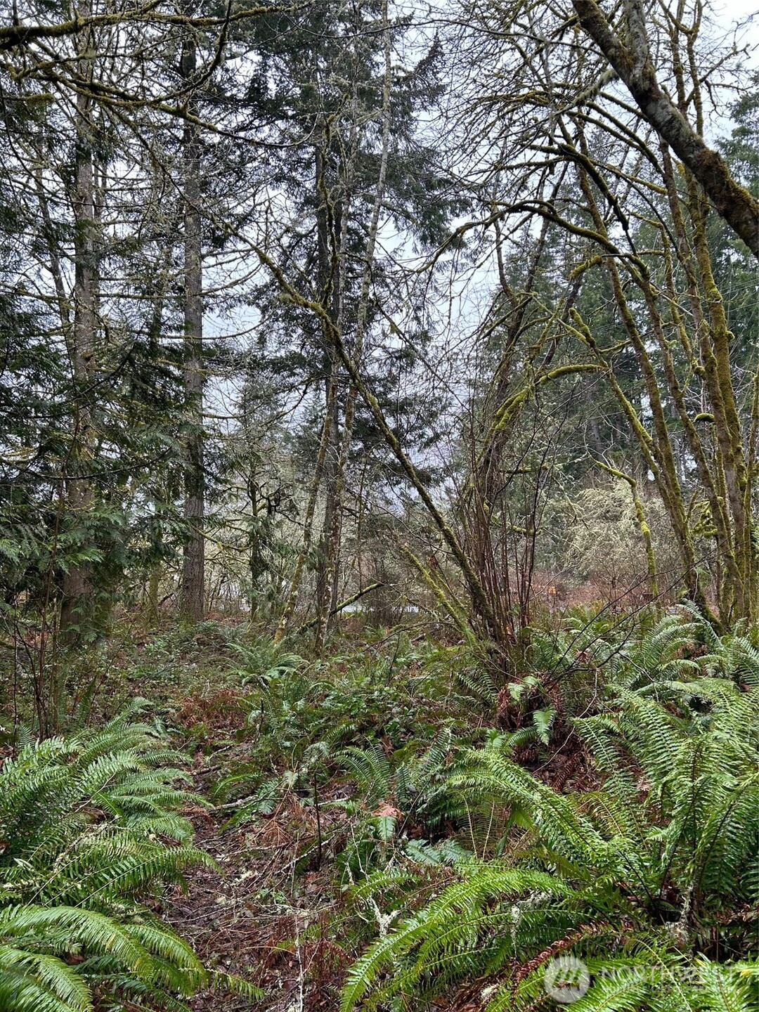 6126 Woodard Bay Road Property Photo 5