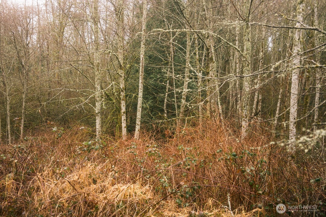 0 Princeton Court Property Photo 3