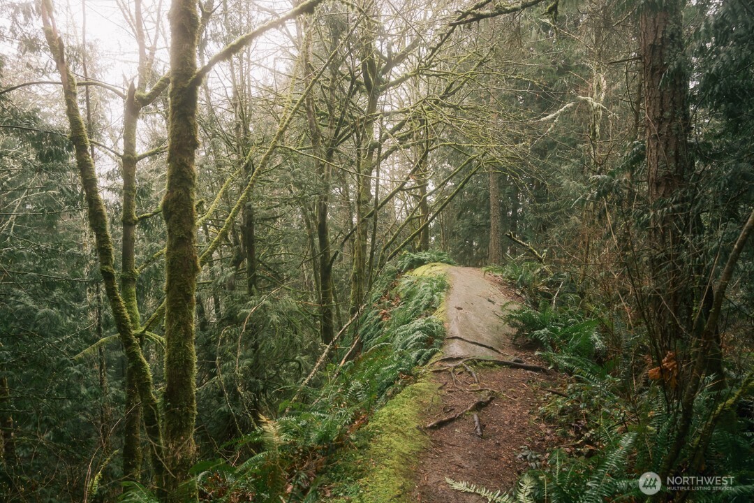 0 Lopez Street Property Photo 25