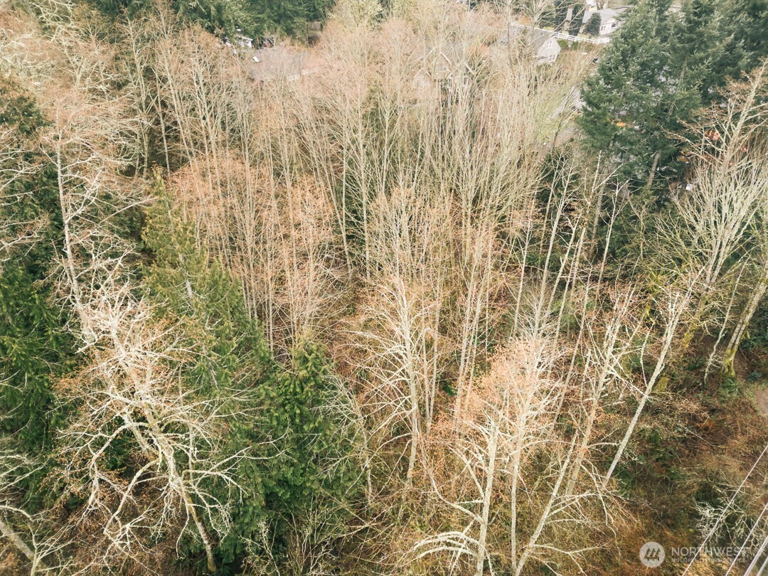0 Lopez Street Property Photo 38