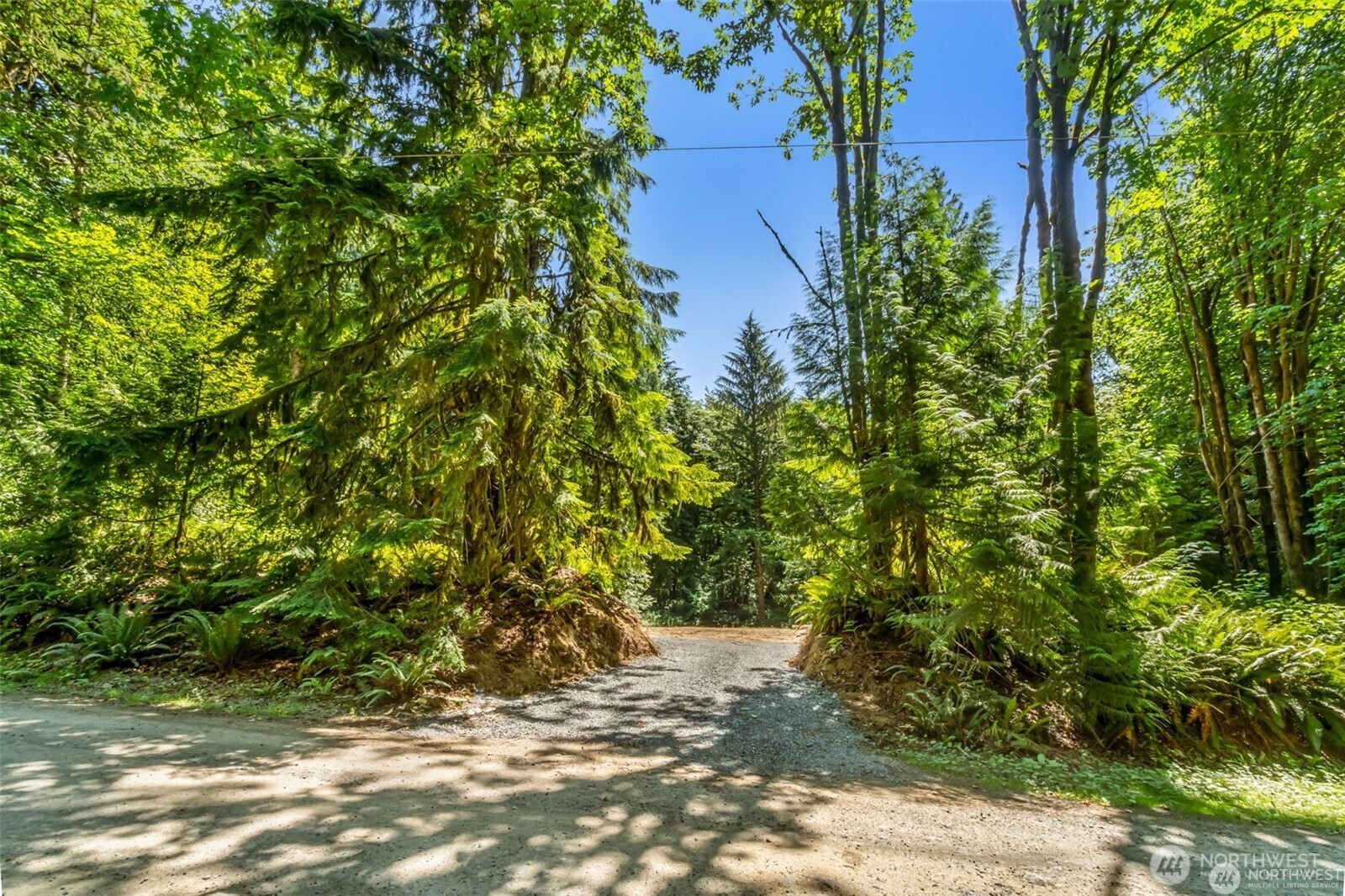 16423 148th Street Property Photo 3