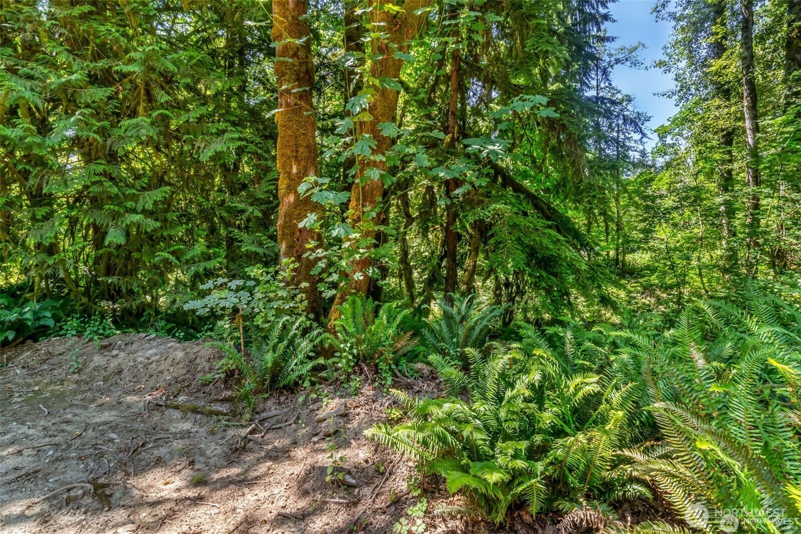16423 148th Street Property Photo 7