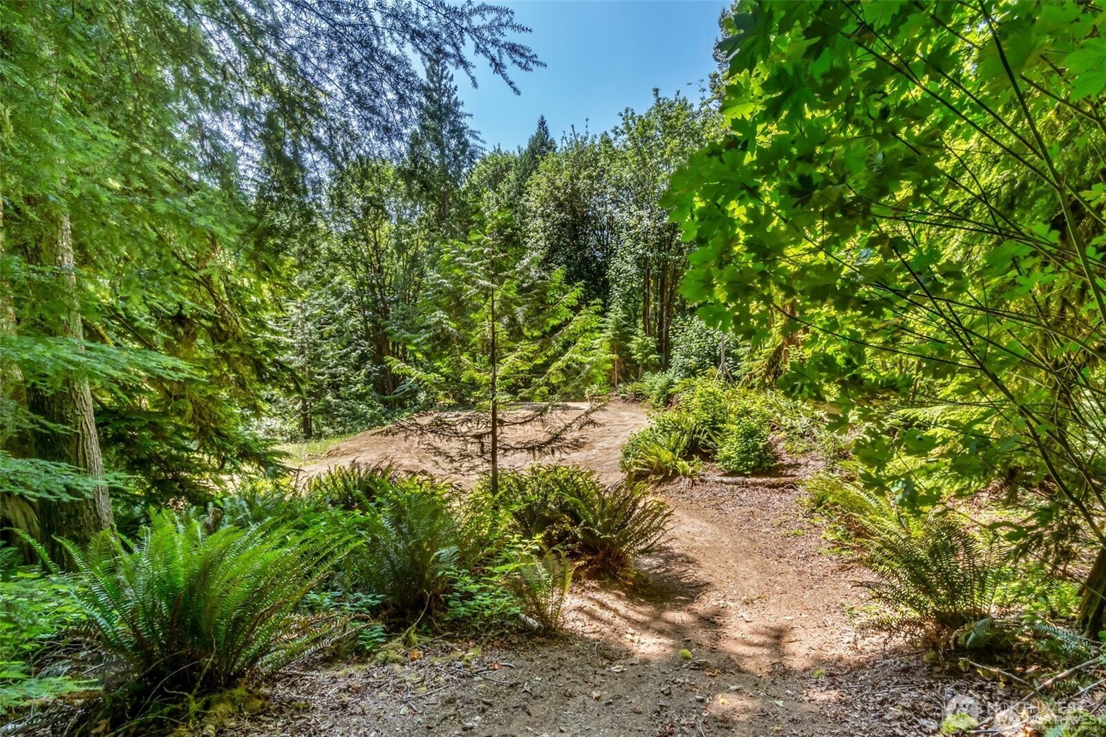 16423 148th Street Property Photo 9