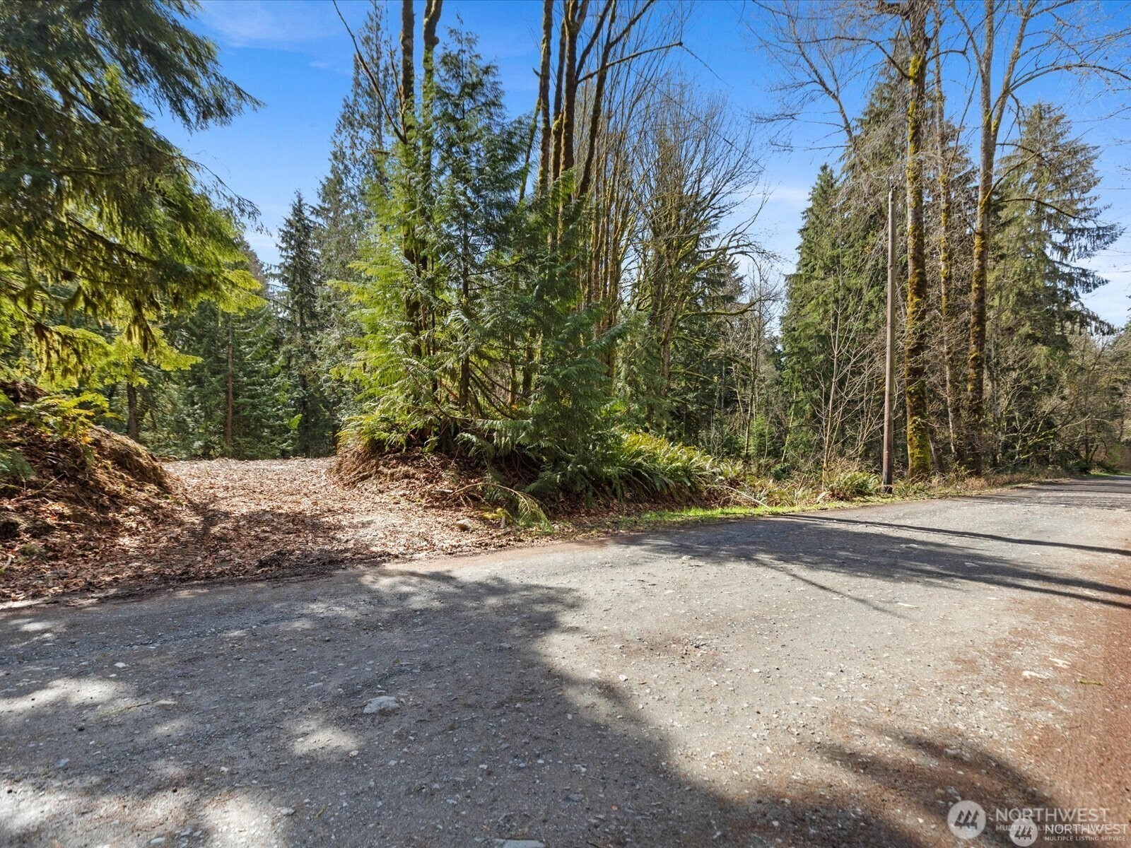 16423 148th Street Property Photo 11