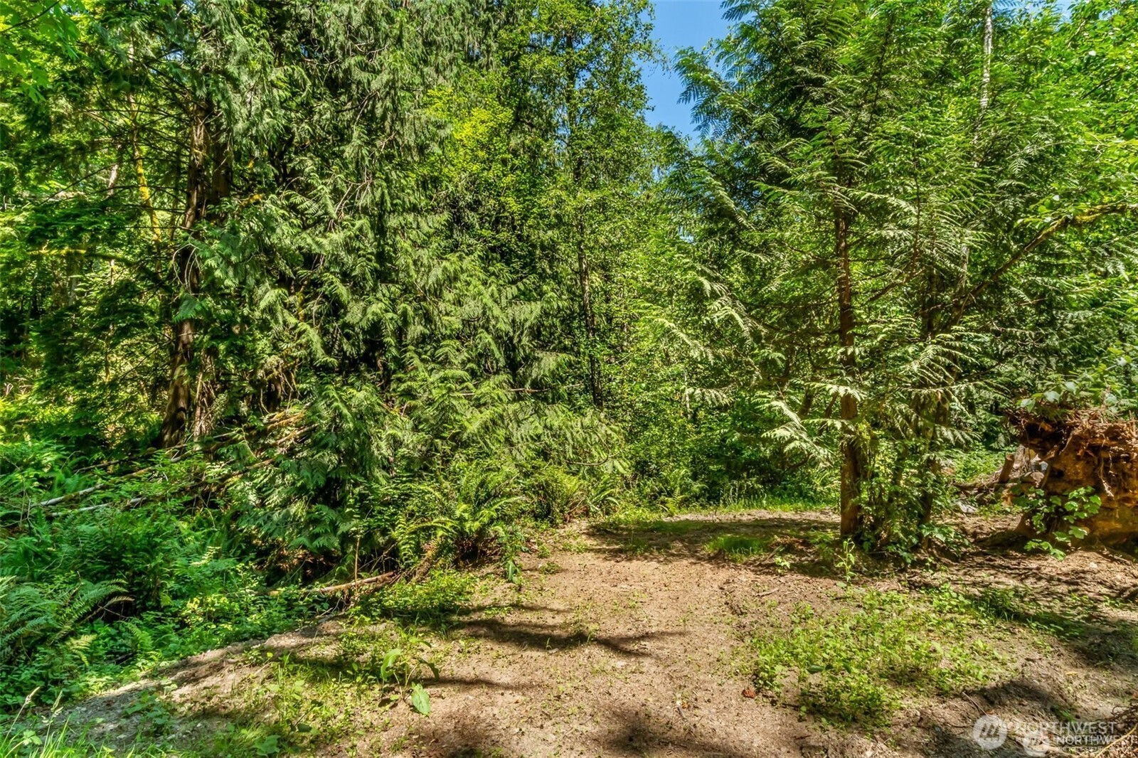 16423 148th Street Property Photo 19
