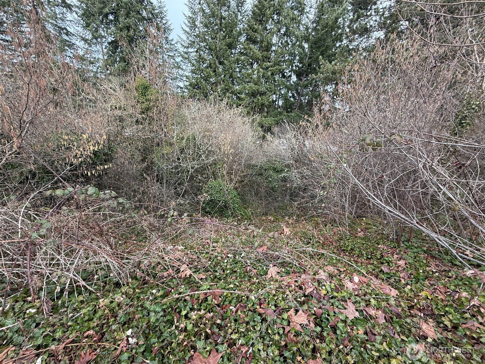 0 Ne 1st Street Property Photo 5