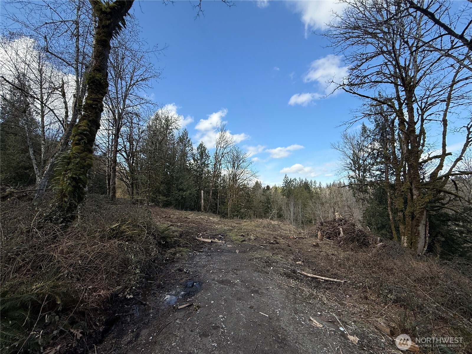 20109 Se Petrovitsky Road Property Photo 2