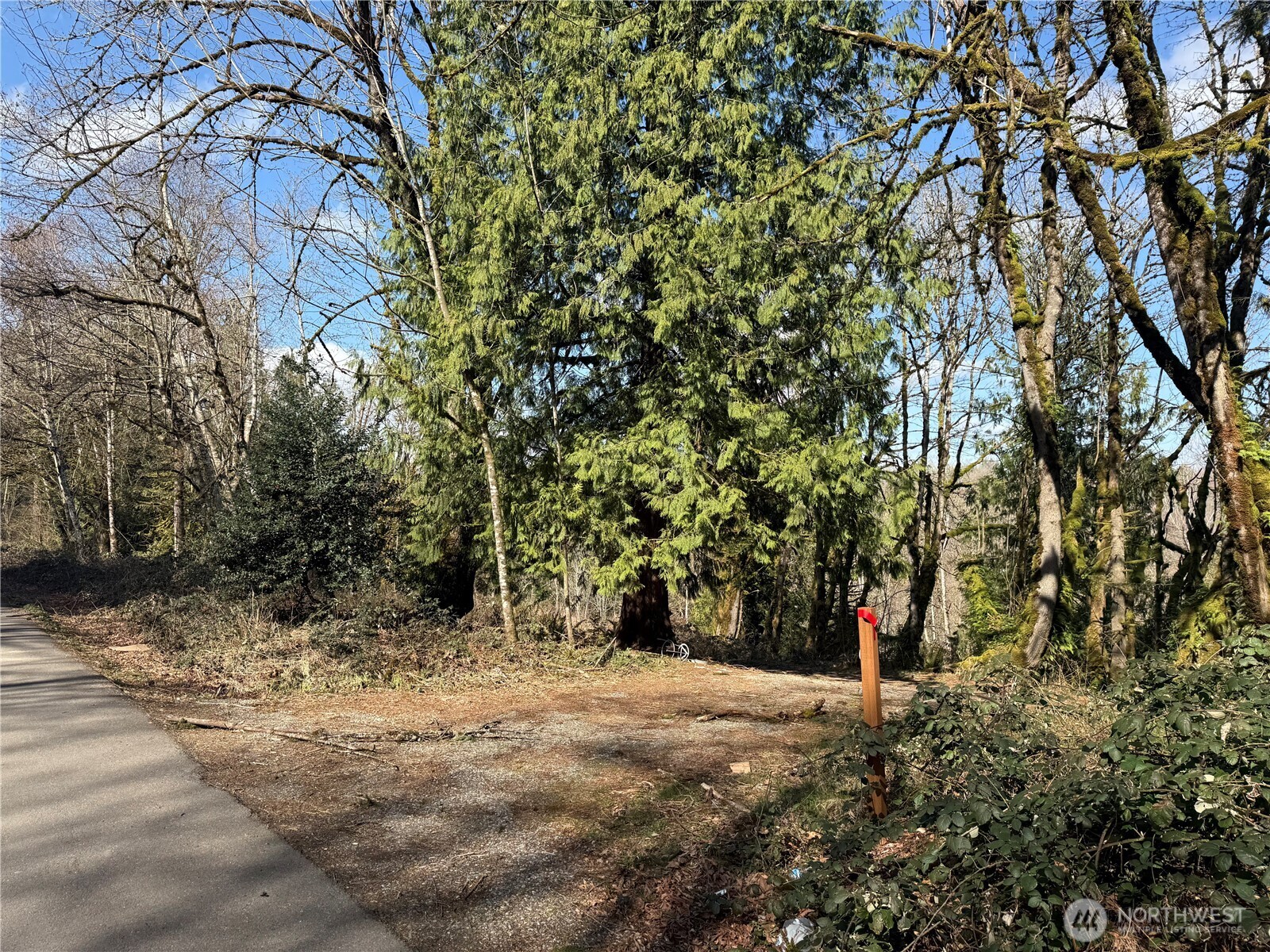 20109 Se Petrovitsky Road Property Photo 3
