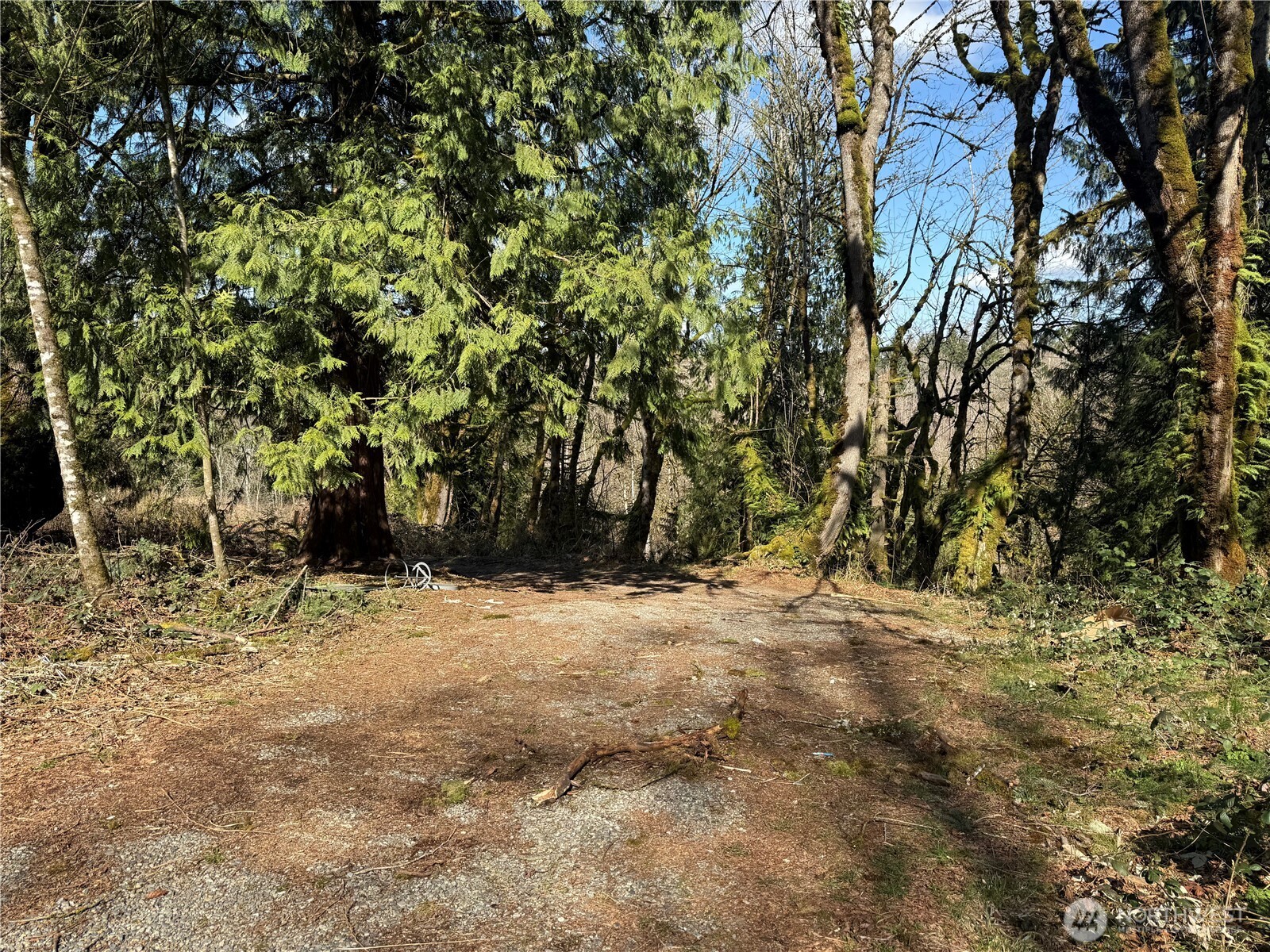 20109 Se Petrovitsky Road Property Photo 4