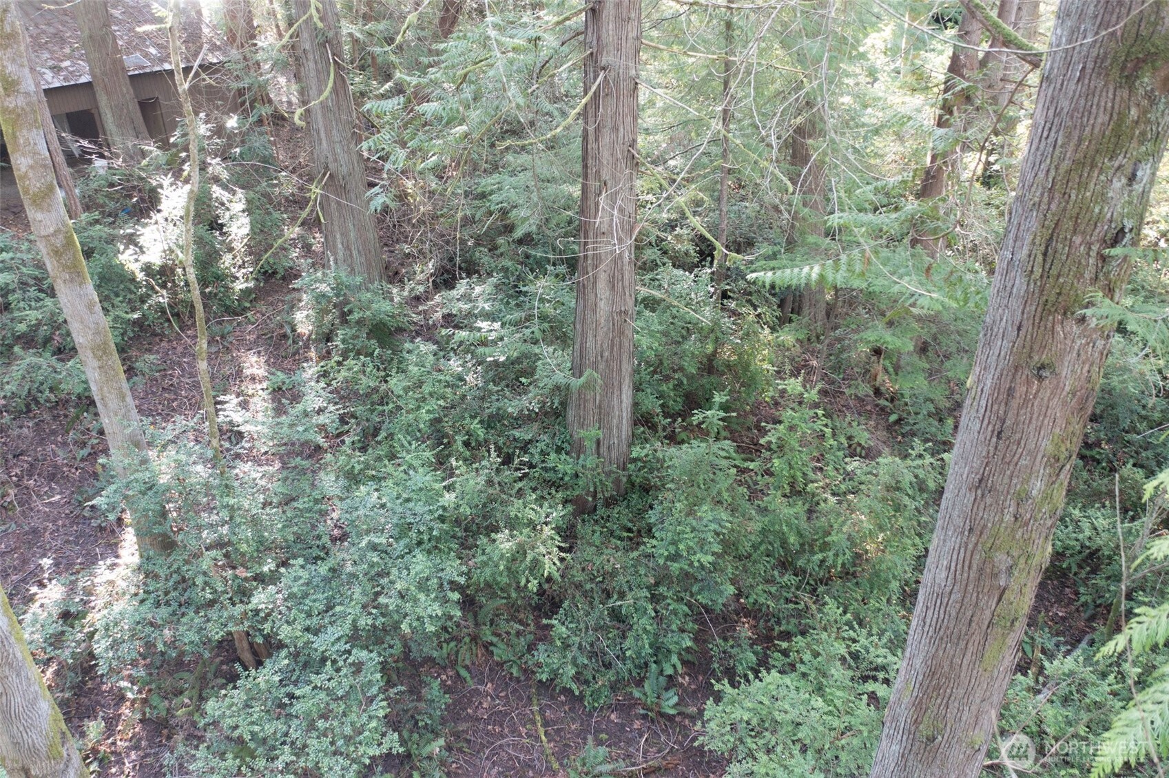 432 E Pointes Drive Property Photo 7
