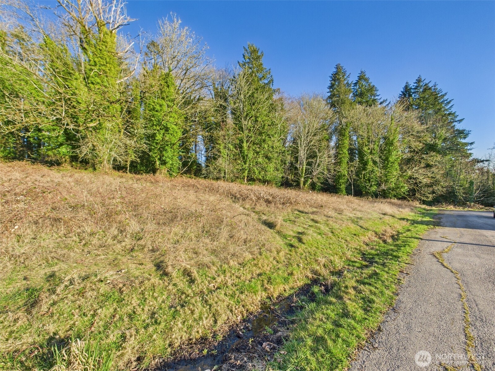 1705 Arbutus Street Property Photo 32