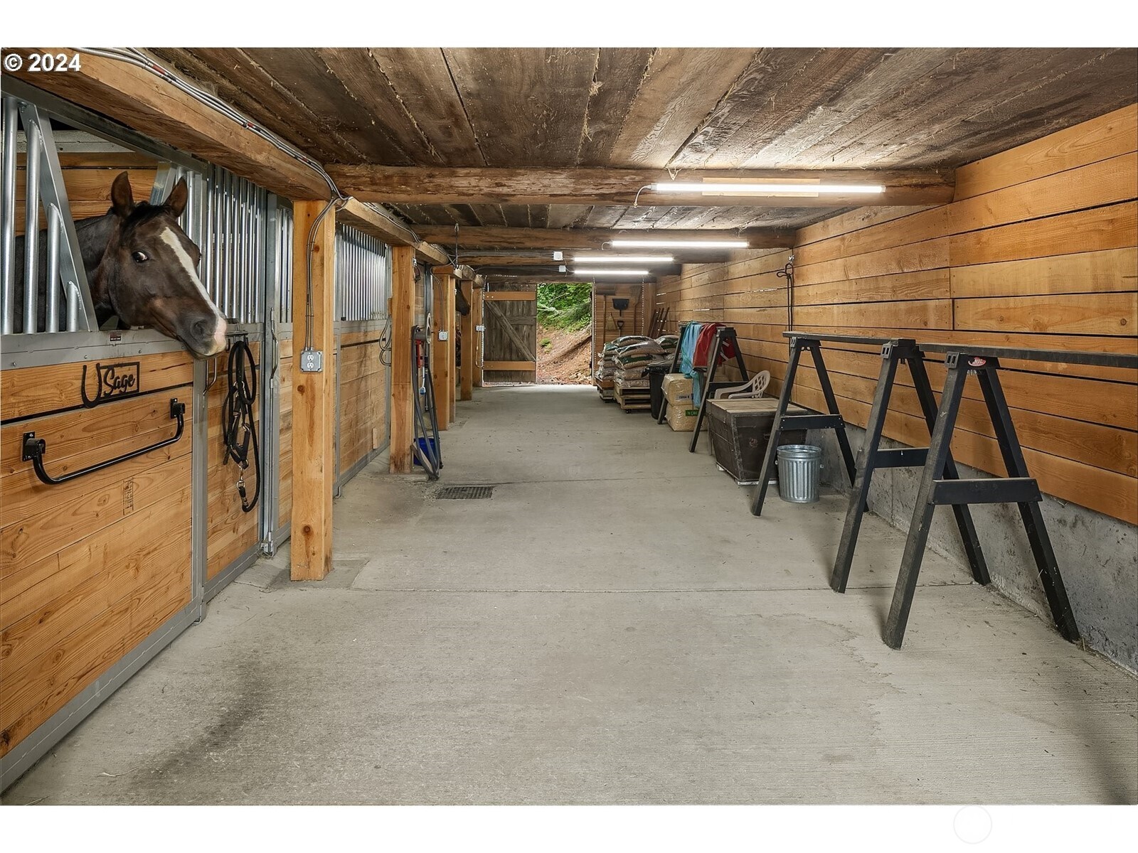 162 Bylin Road Property Photo 34