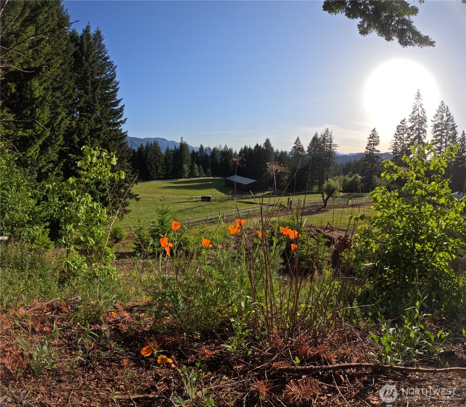 162 Bylin Road Property Photo 35