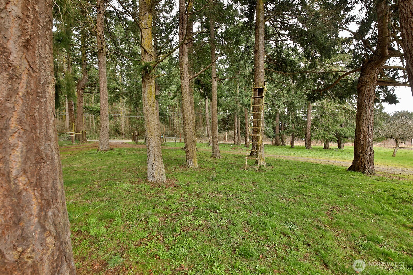 2725 Hunt Road Property Photo 31