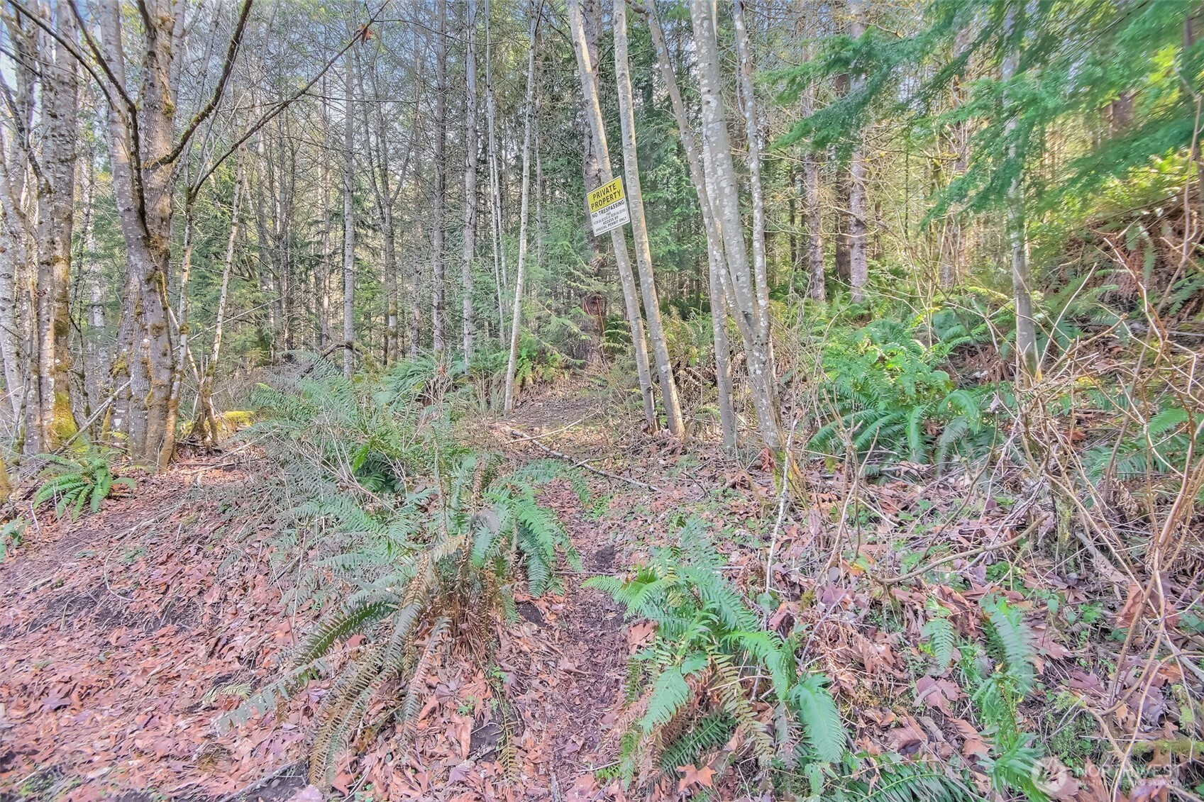 0 X Se 477th Street Property Photo 15