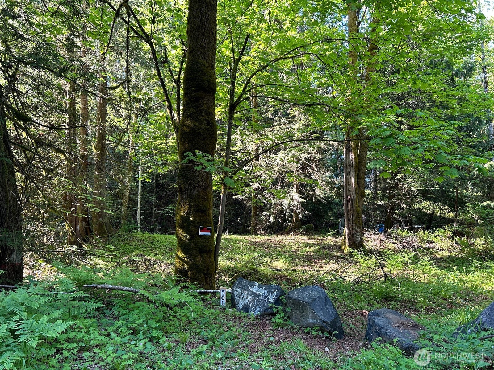 501 N Olympic Trails Property Photo