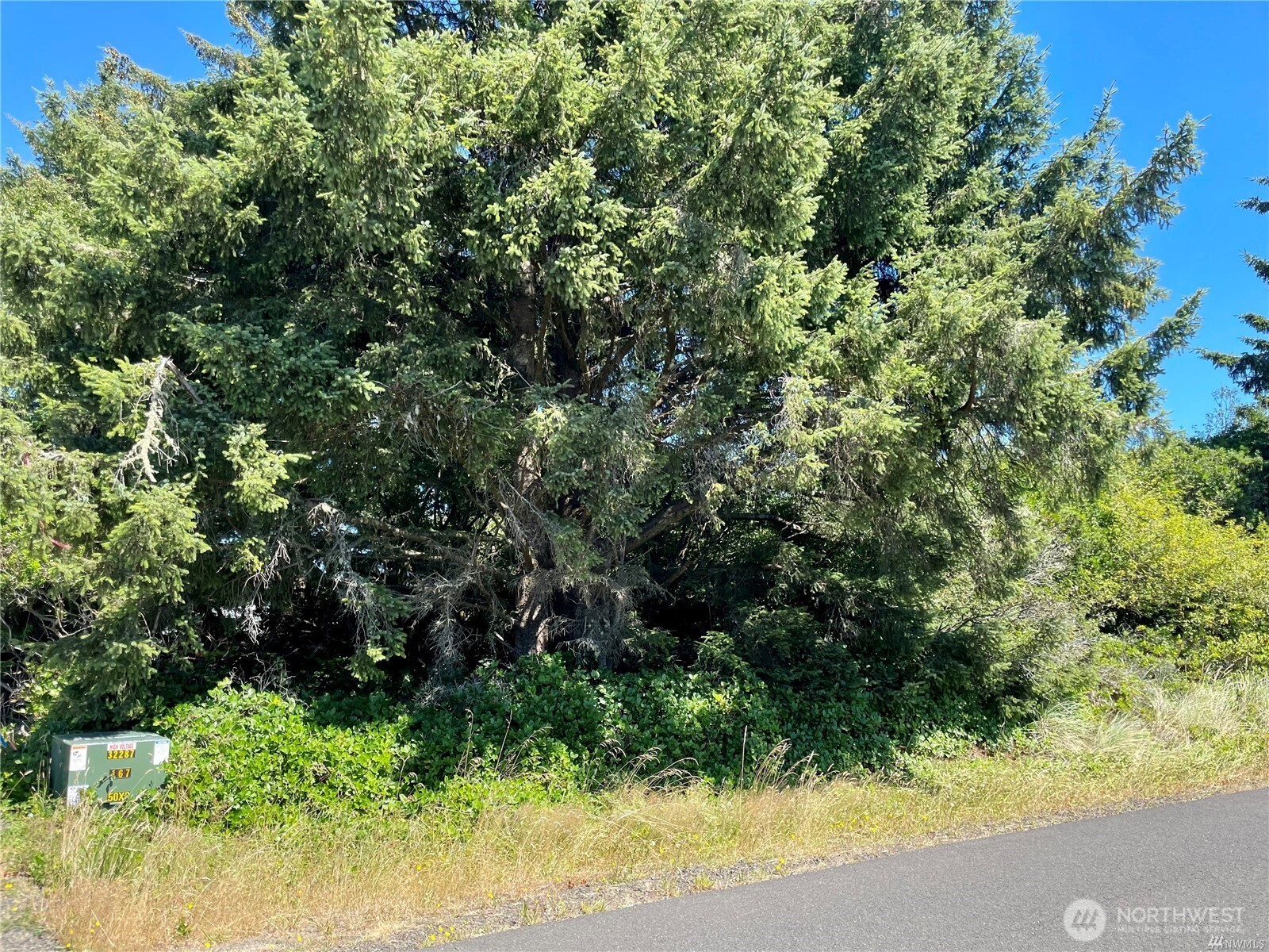138 N Razor Clam Drive Property Photo 4