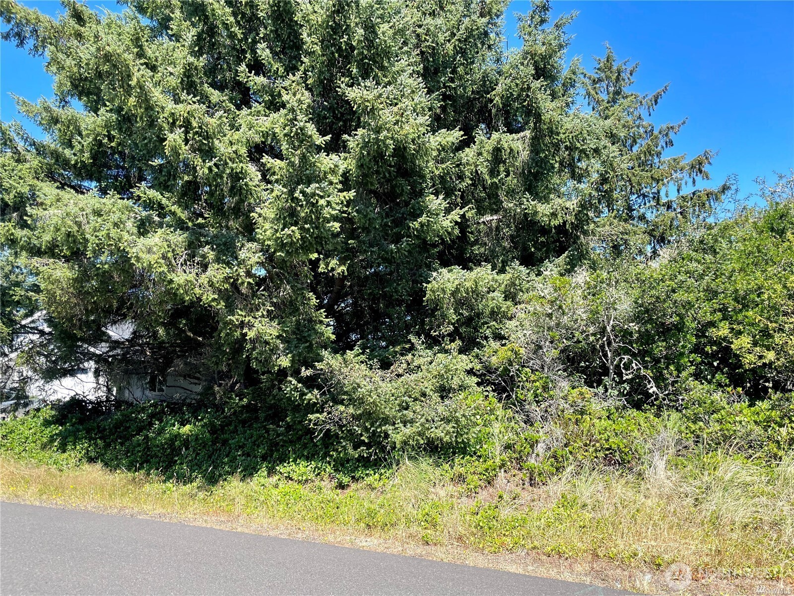 138 N Razor Clam Drive Property Photo 6