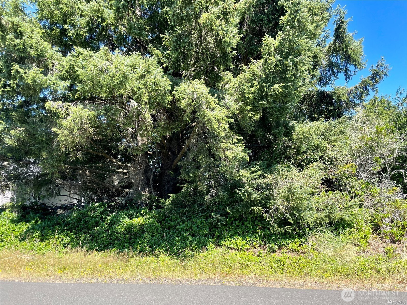 138 N Razor Clam Drive Property Photo 8
