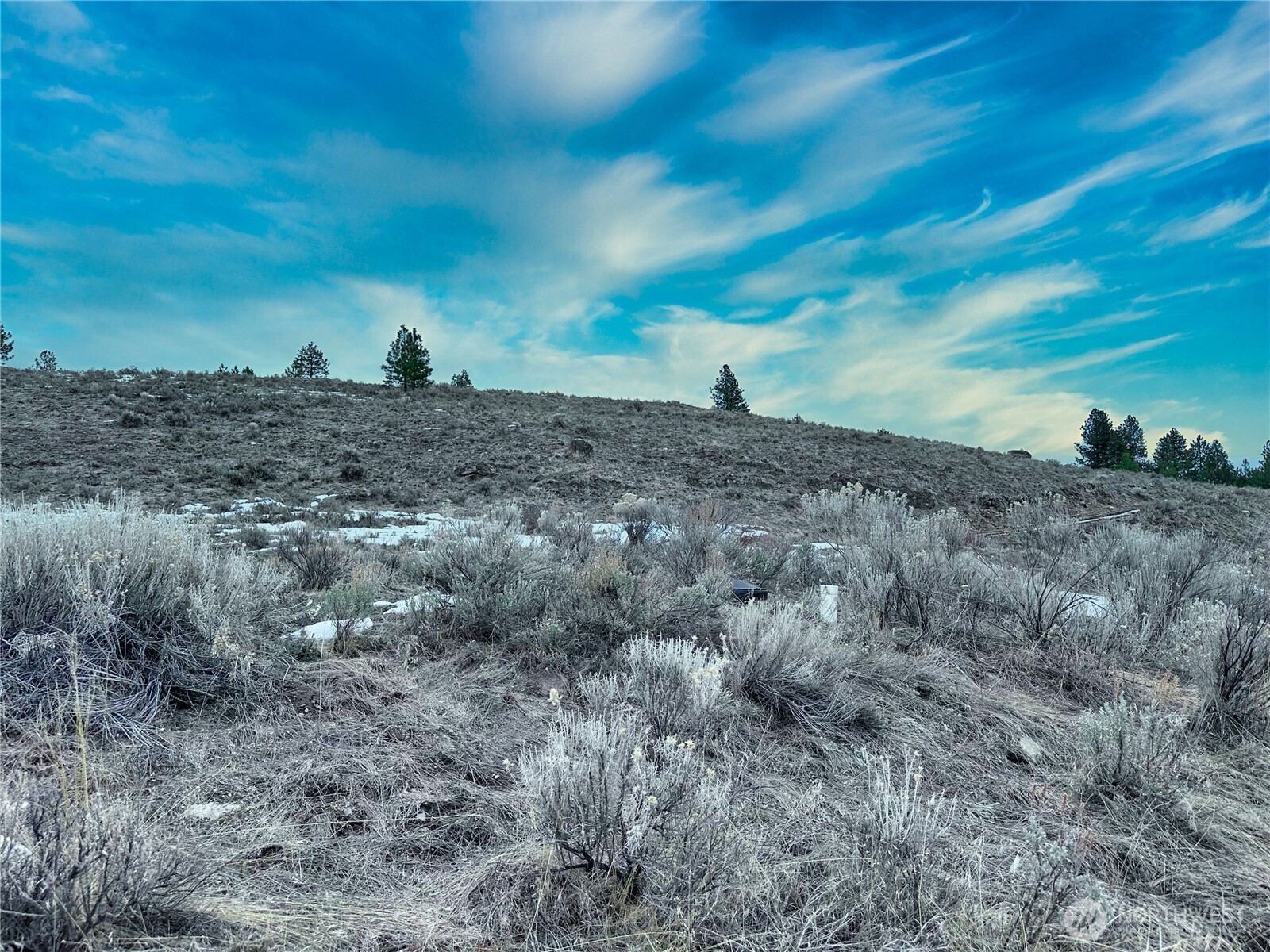 1111 Tbd White Tail Lane Property Photo 8