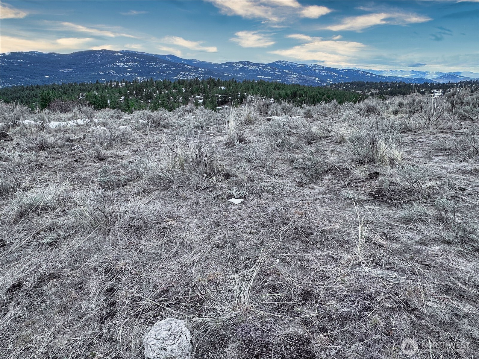 1111 Tbd White Tail Lane Property Photo 14