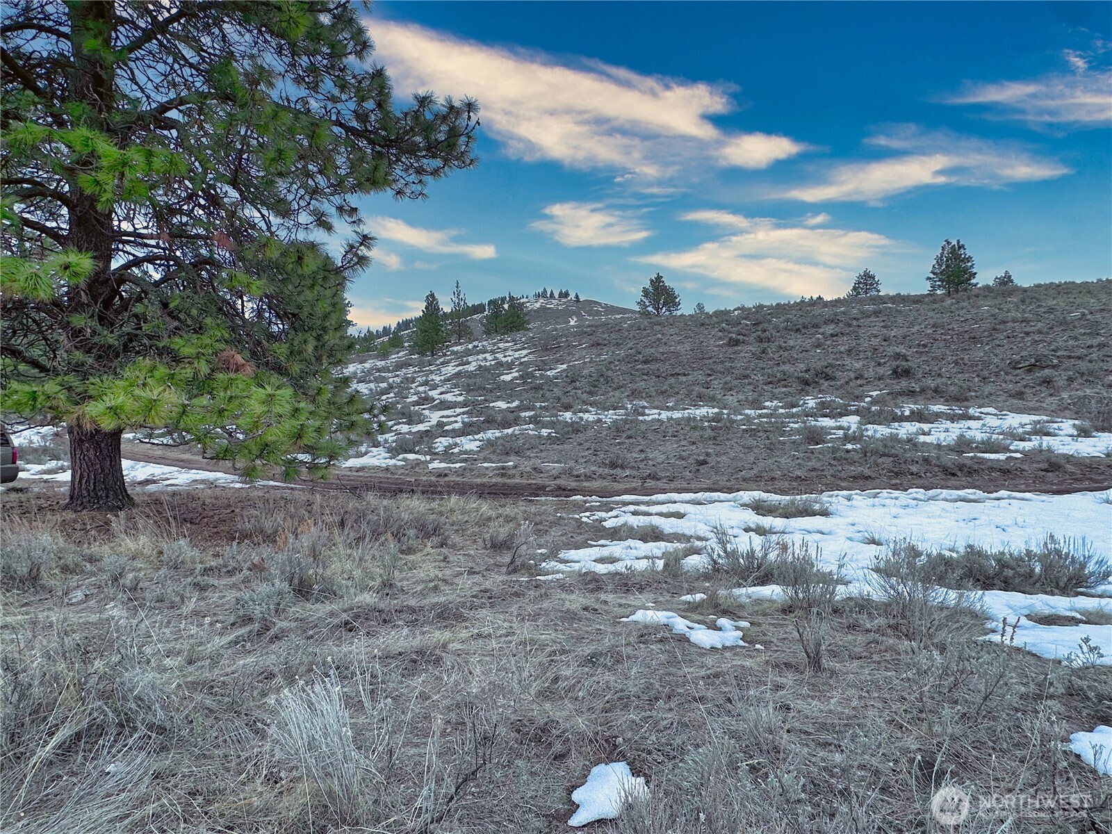 1111 Tbd White Tail Lane Property Photo 16