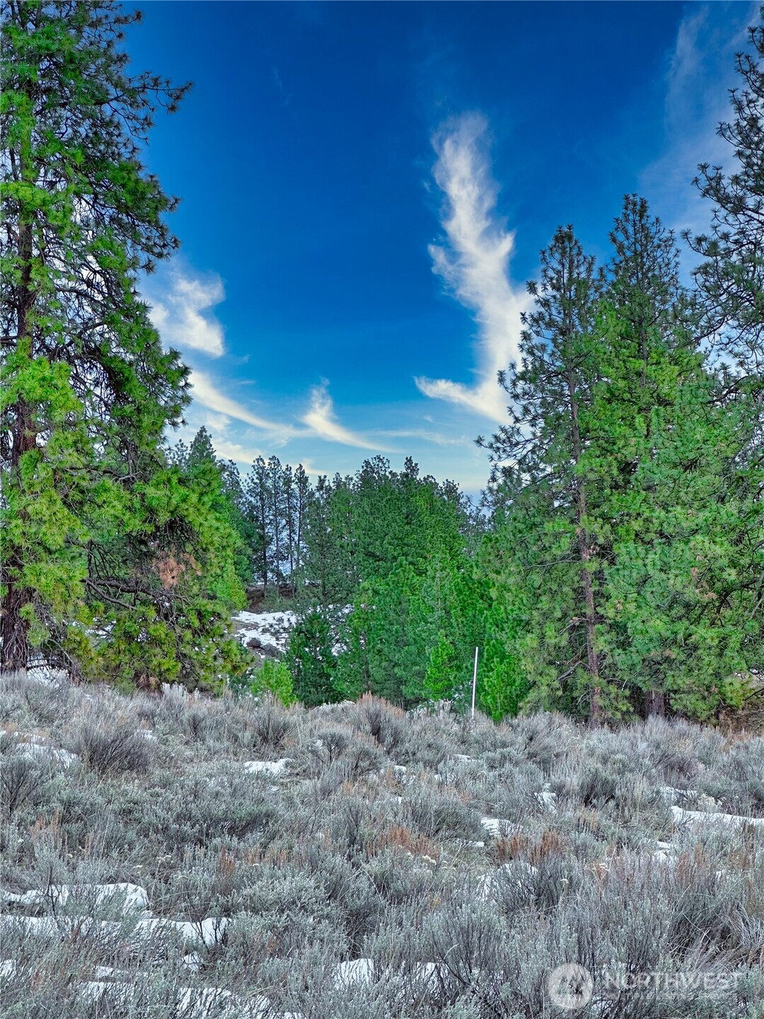 1111 Tbd White Tail Lane Property Photo 17