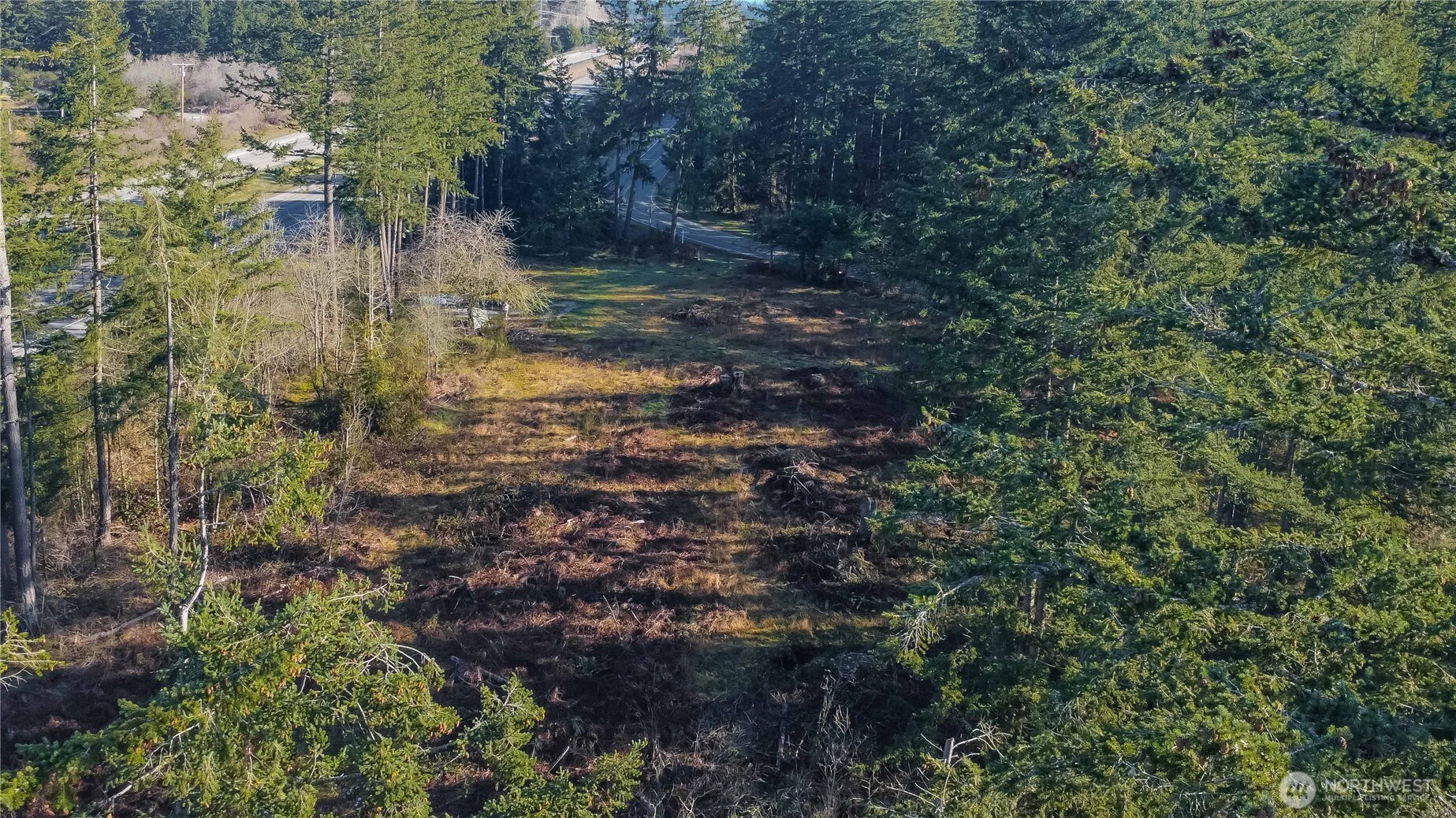 24315 208th Avenue Property Photo 9