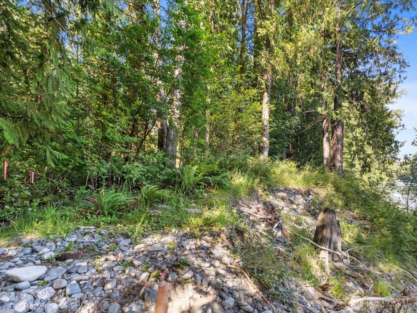 16918 117th Place Property Photo 3