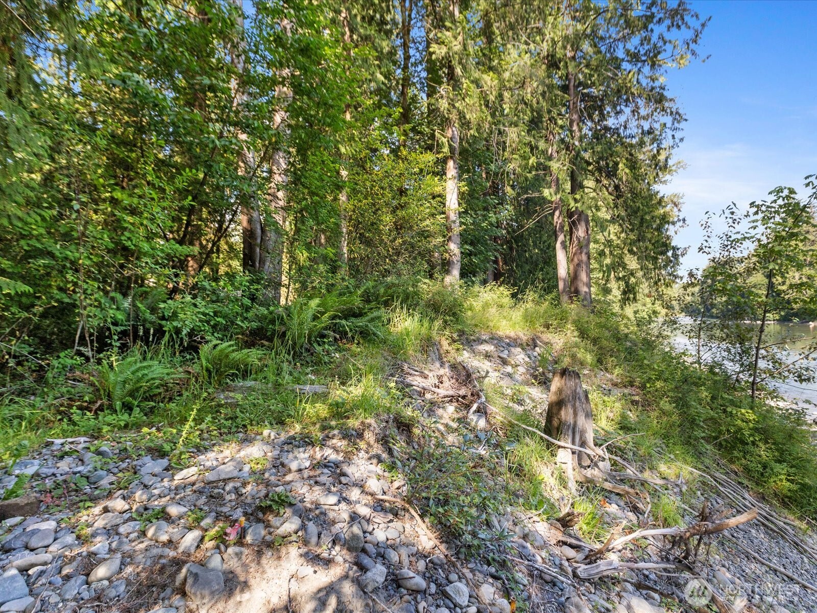 16918 117th Place Property Photo 4