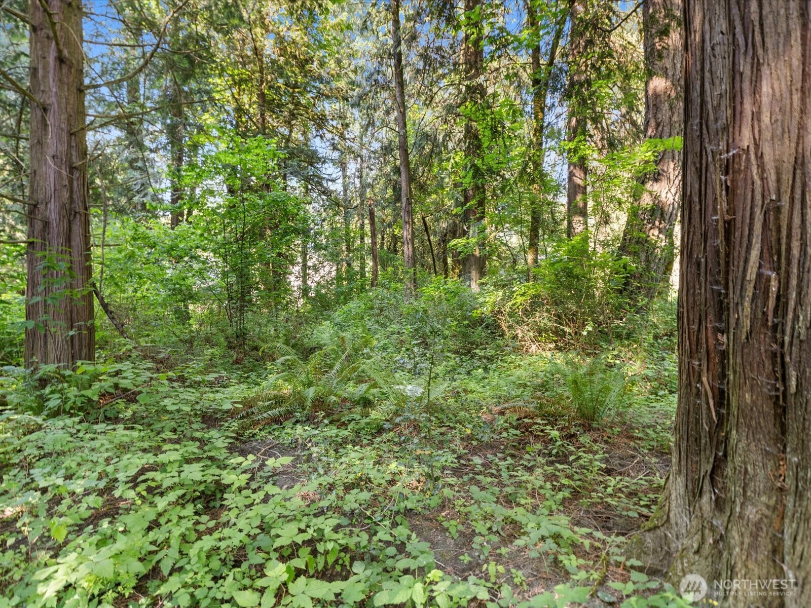 16918 117th Place Property Photo 8