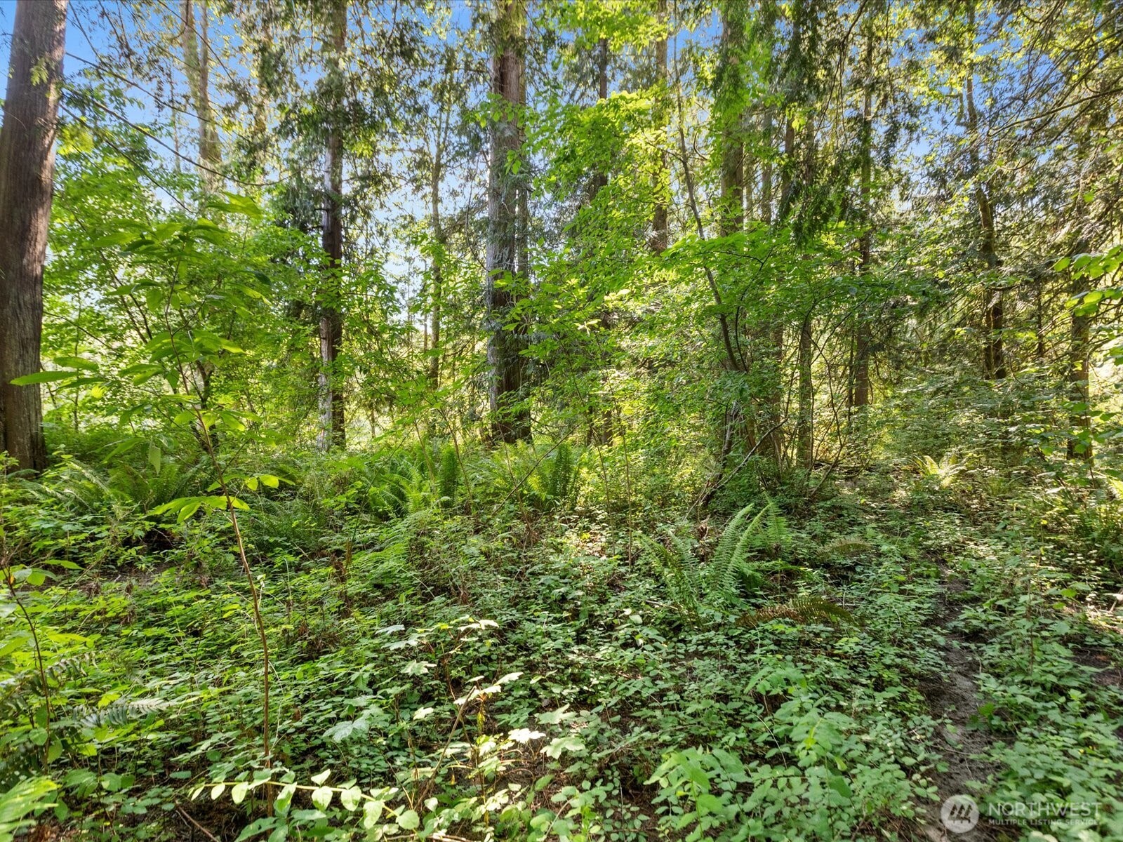 16918 117th Place Property Photo 10