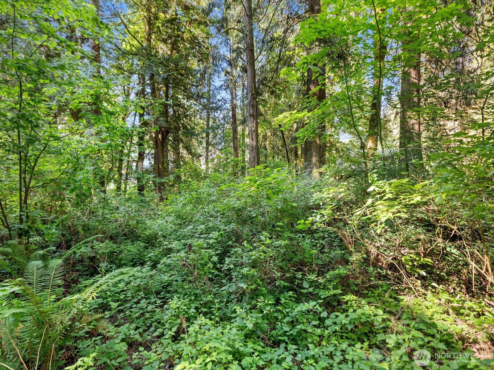 16918 117th Place Property Photo 12