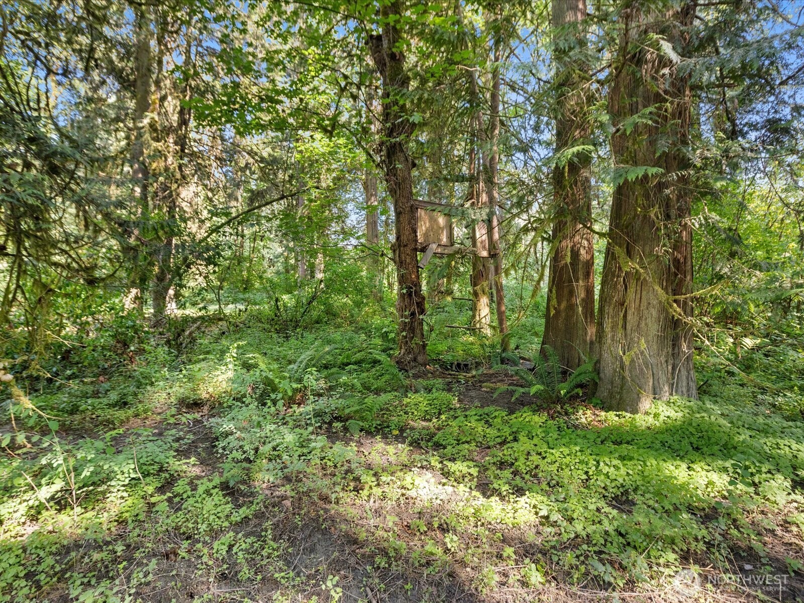 16918 117th Place Property Photo 13