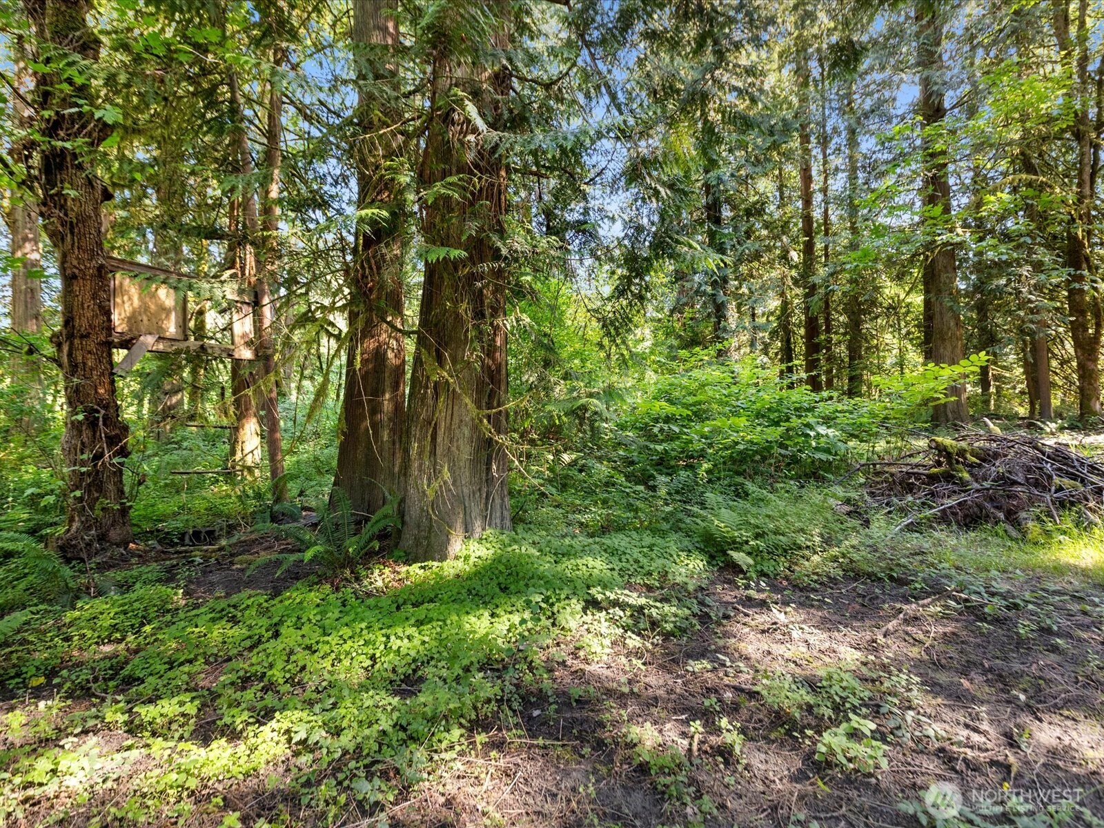 16918 117th Place Property Photo 14