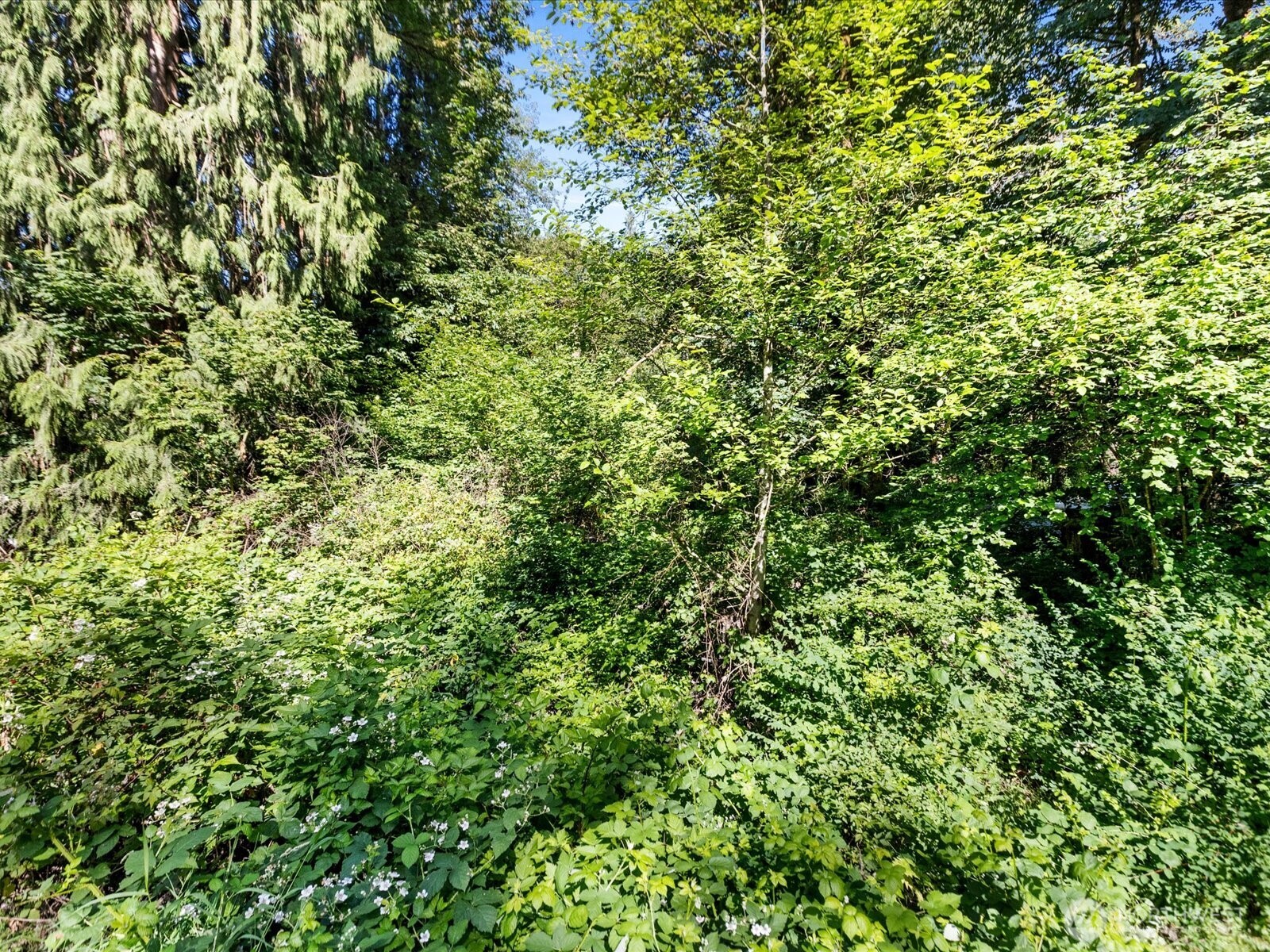 16918 117th Place Property Photo 15