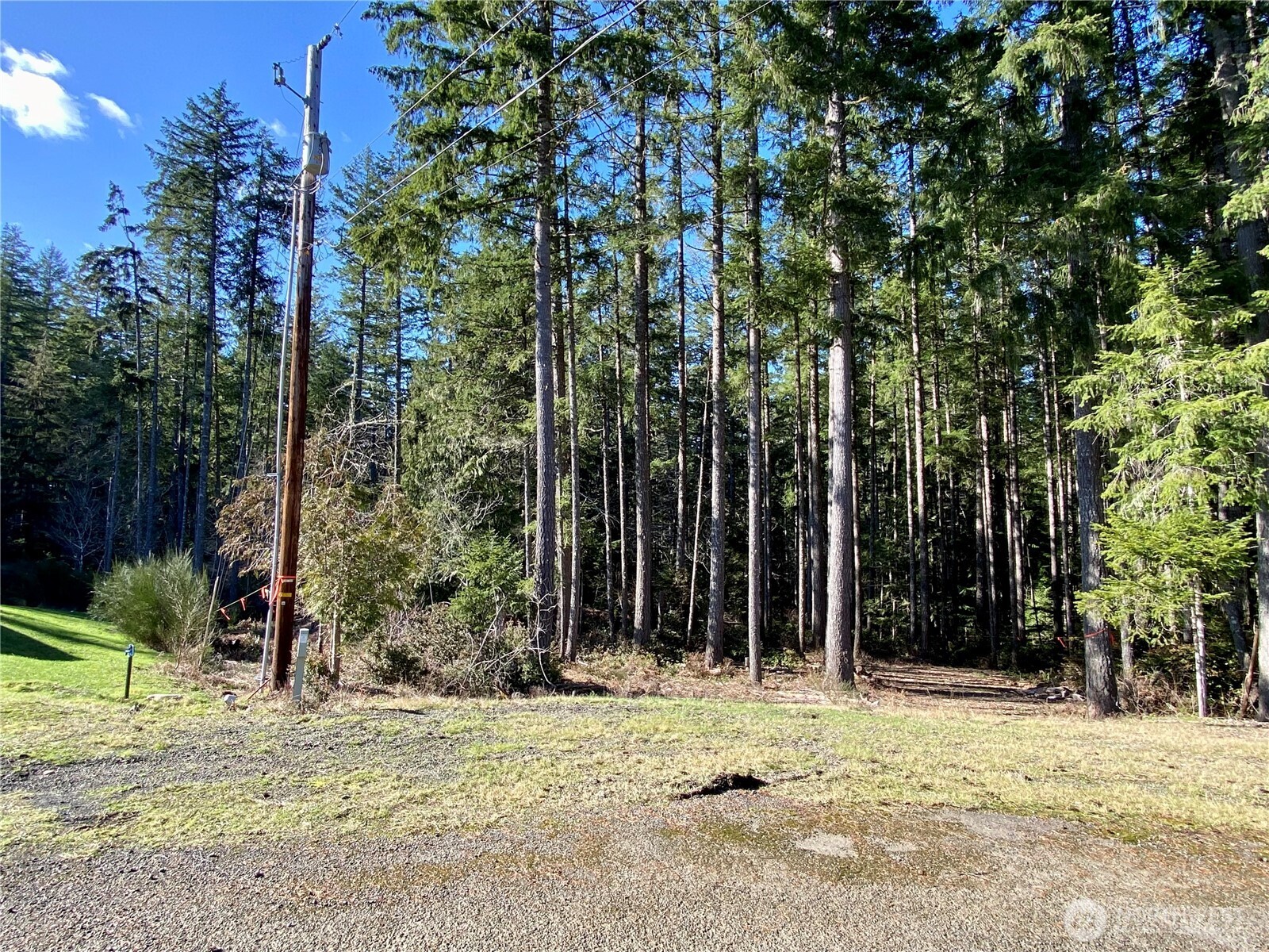 100 E Blenheim Place Property Photo 4