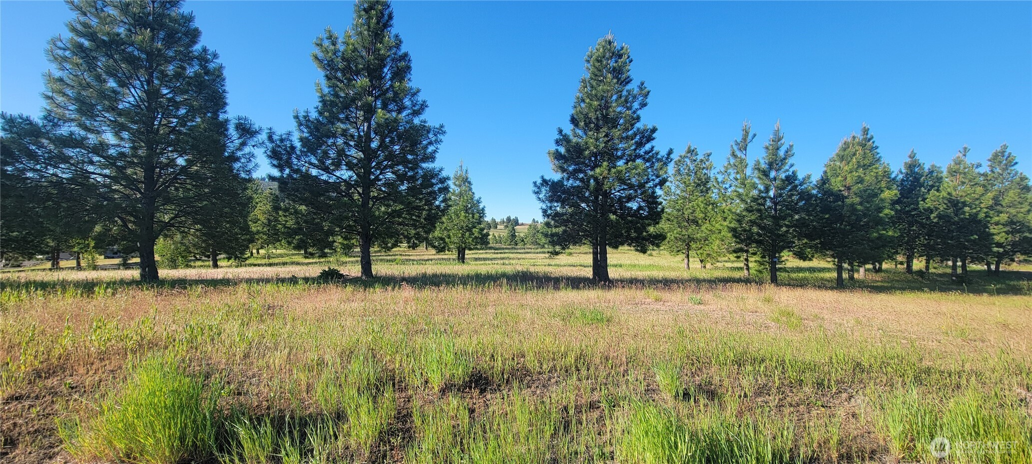 1280 Leo Lane Property Photo