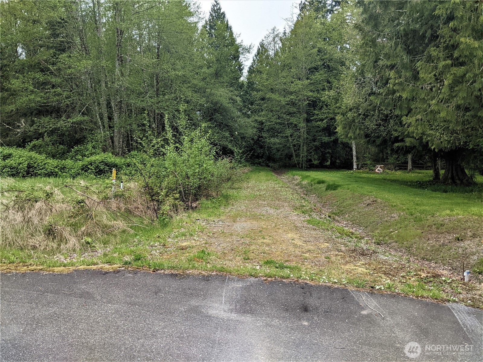 3 Lot Maple Tree Lane Property Photo