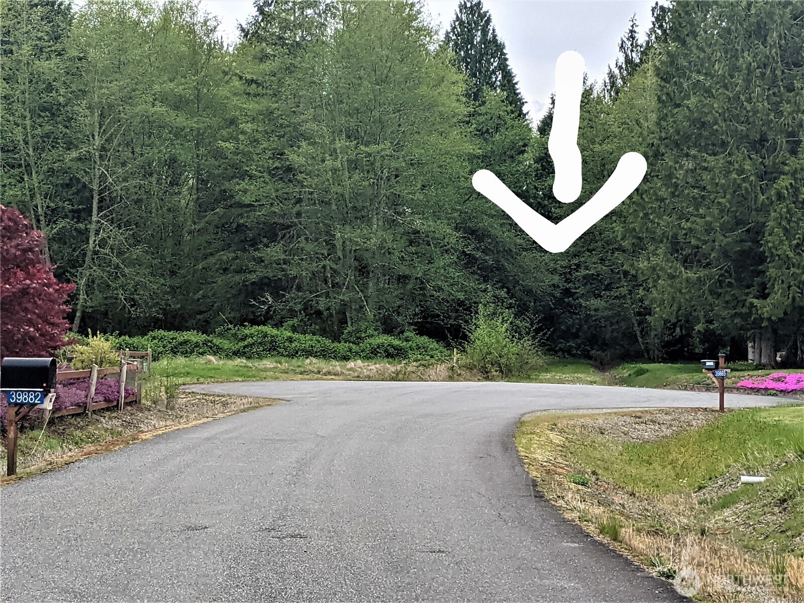 3 Lot Maple Tree Lane Property Photo 2