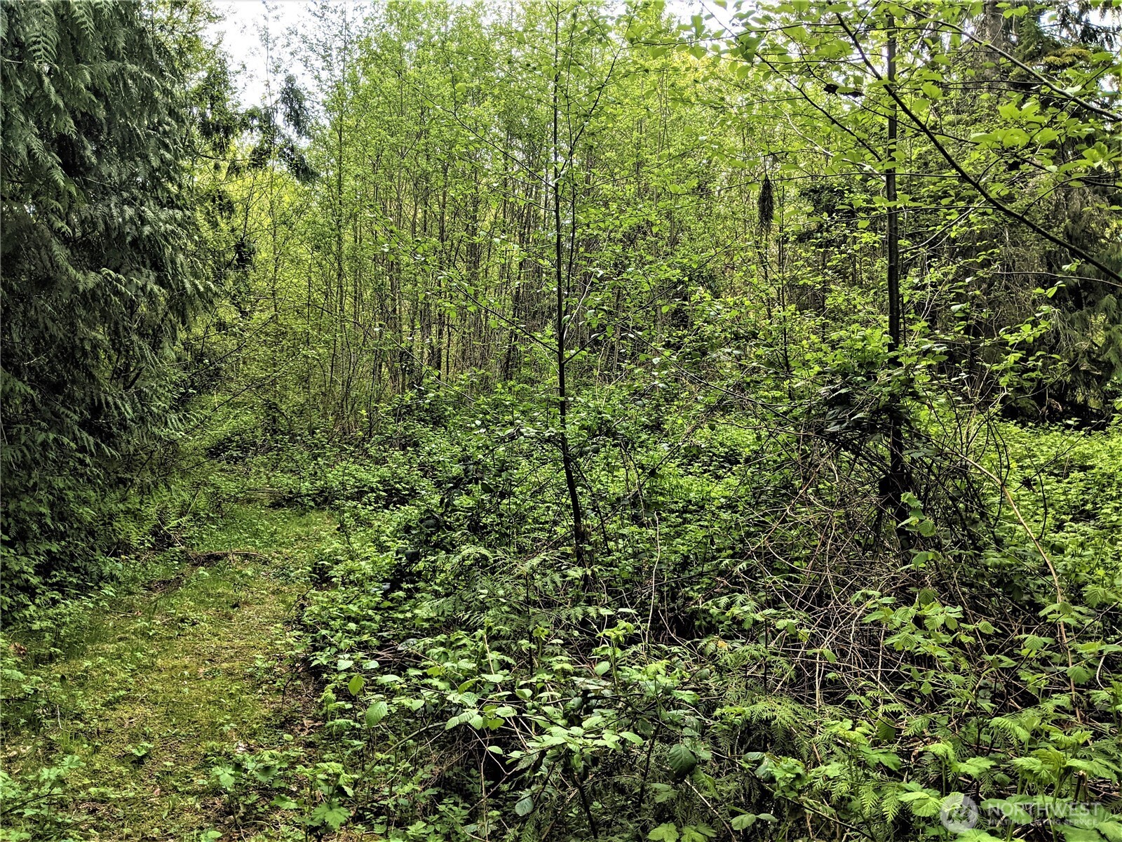 3 Lot Maple Tree Lane Property Photo 3