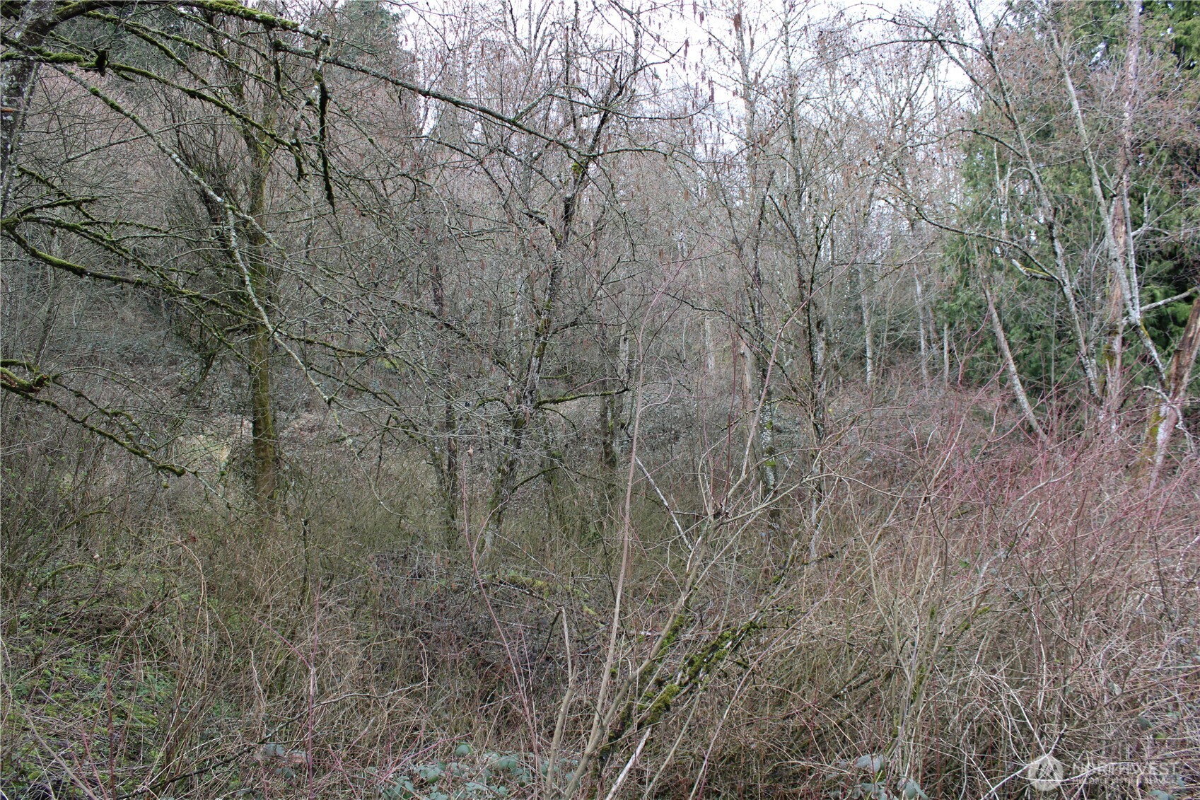 2401 Xx West Valley Highway Property Photo