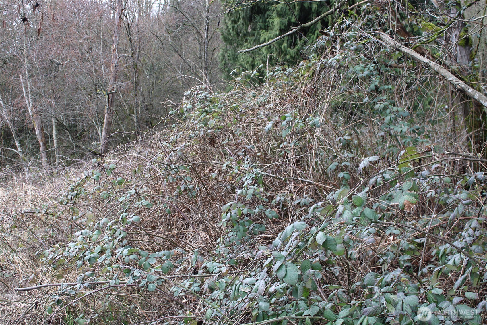 2401 Xx West Valley Highway Property Photo 3