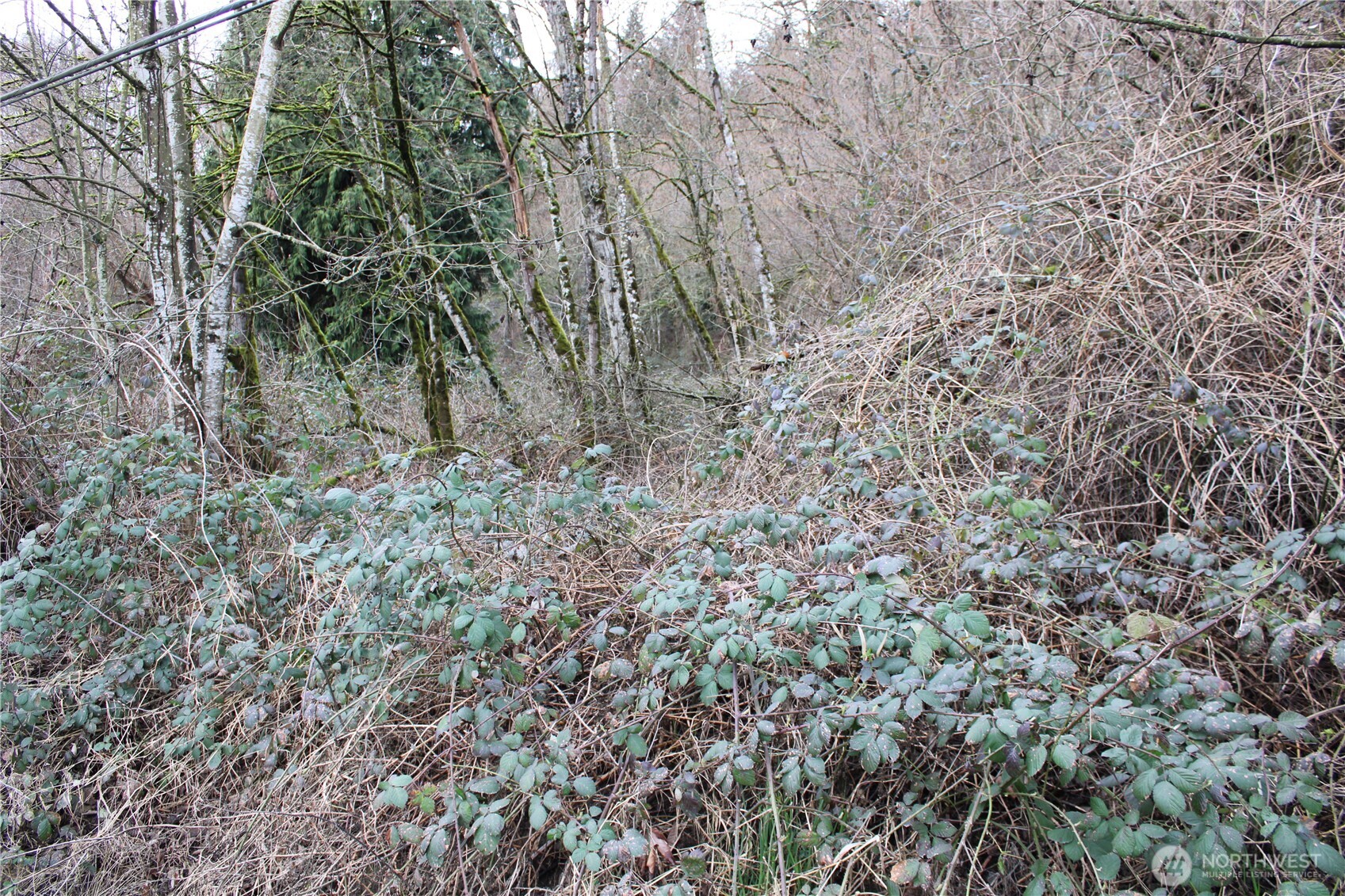 2401 Xx West Valley Highway Property Photo 4