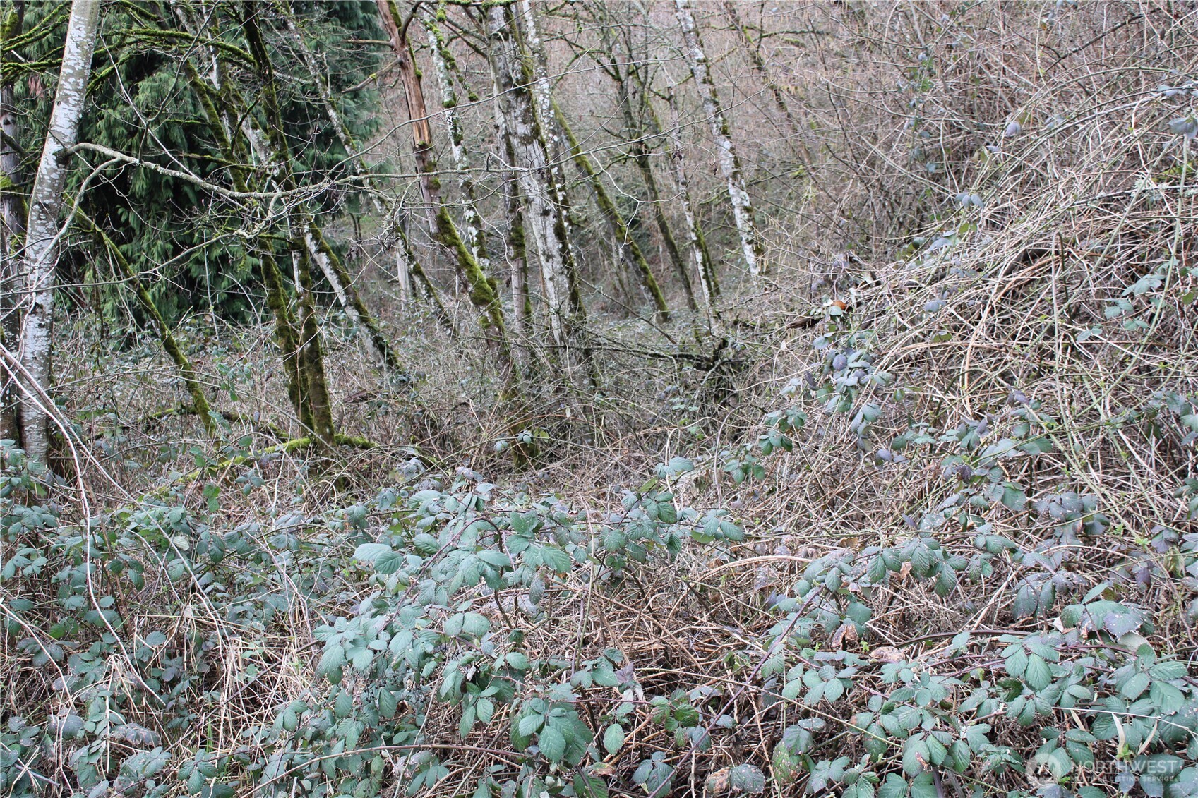 2401 Xx West Valley Highway Property Photo 6