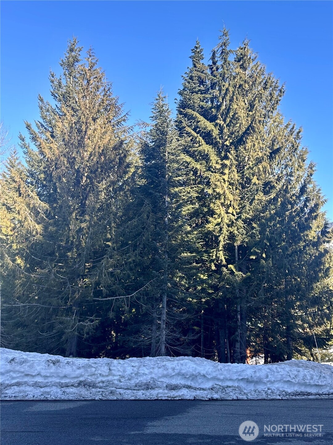 0 - Lot 56 Snoqualmie Drive Property Photo 2