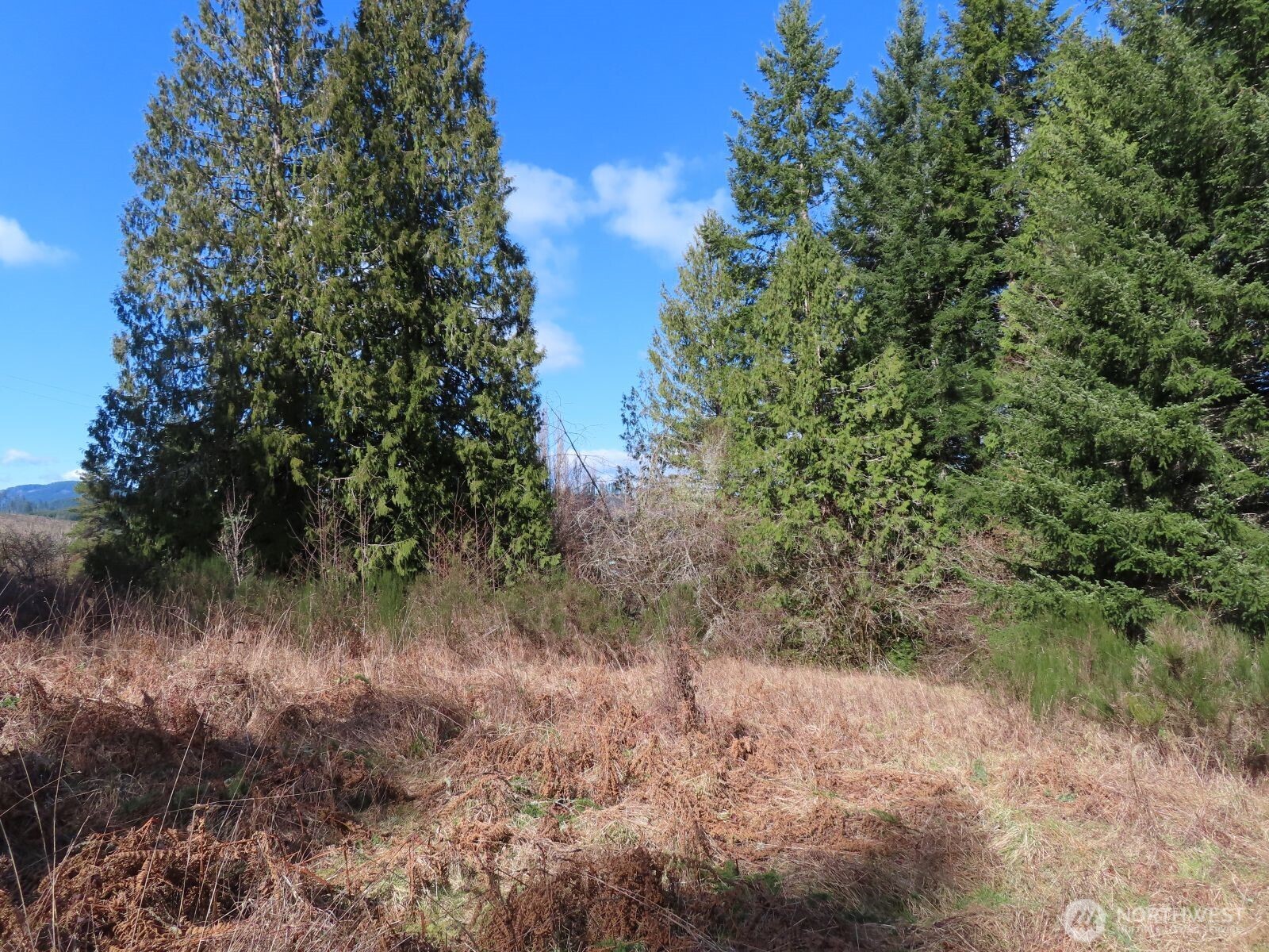 0 Xxx Harkum Street Property Photo 15