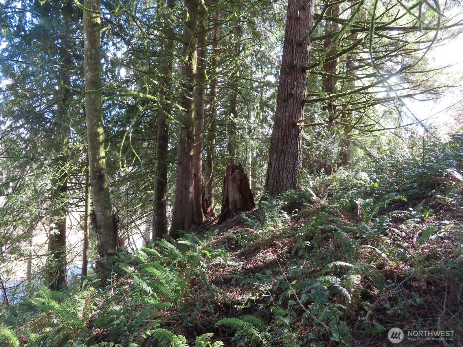 0 Xxx Harkum Street Property Photo 20