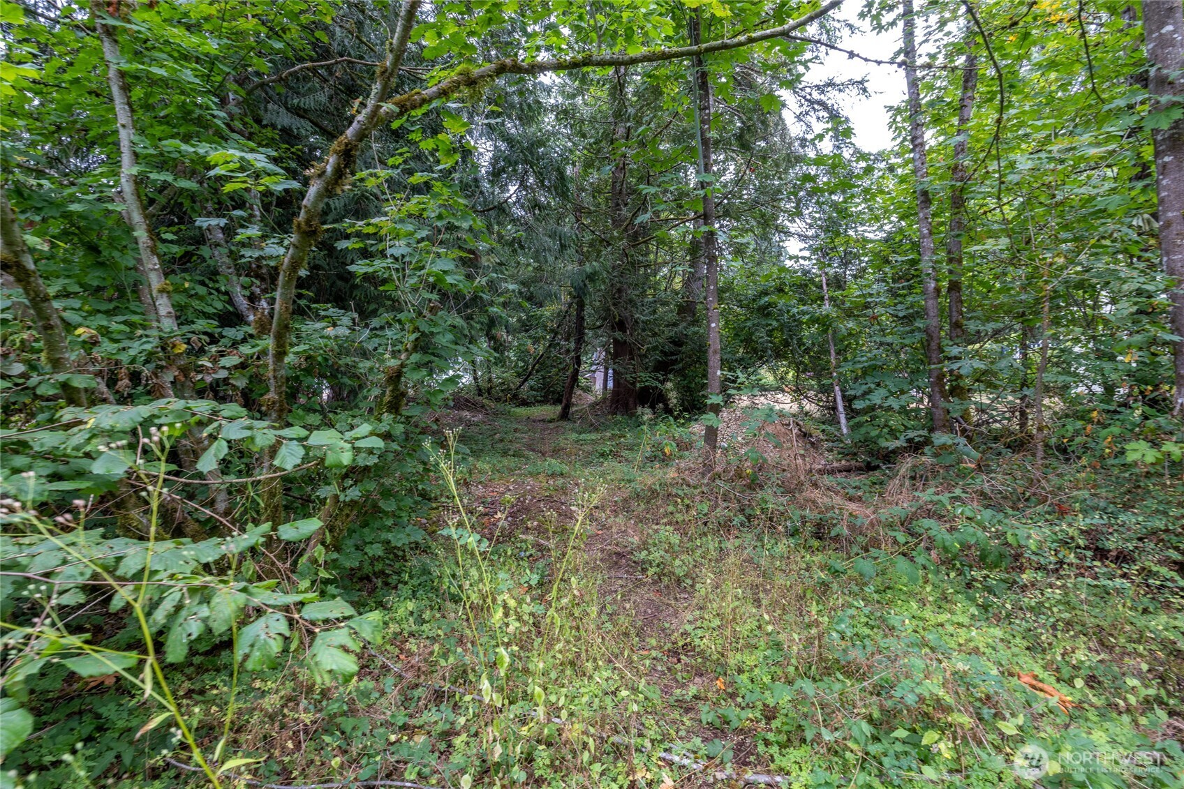 0 Se Se 247th Place, Covington, Wa Place Property Photo 8